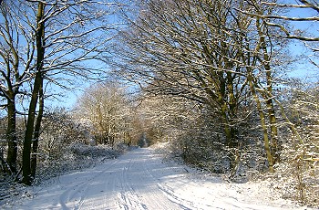Schneelandschaften warten auf ihre Entdeckung